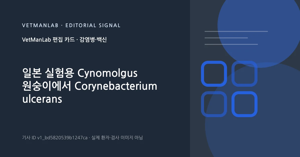 VetManLab 편집용 정보 카드: 일본 실험용 Cynomolgus 원숭이에서 Corynebacterium ulcerans 유병률 분석. 실제 환자나 검사 사진이 아닌 기사 주제 안내 그래픽입니다.