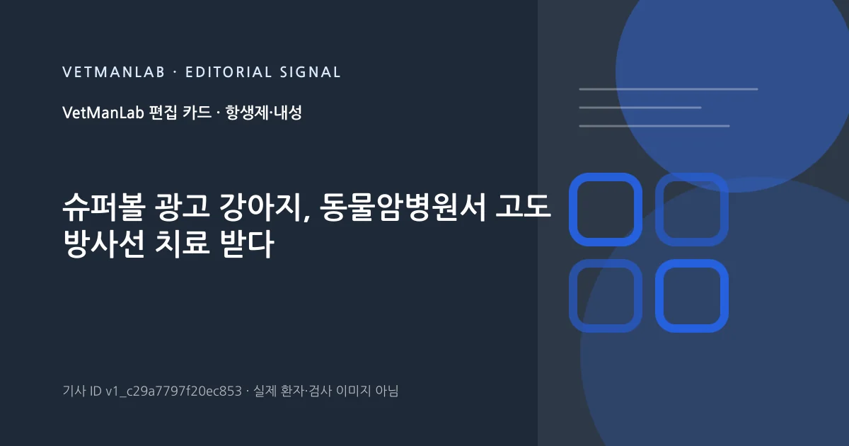 VetManLab 편집용 정보 카드: 슈퍼볼 광고 강아지, 동물암병원서 고도 방사선 치료 받다. 실제 환자나 검사 사진이 아닌 기사 주제 안내 그래픽입니다.