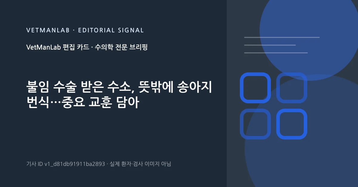VetManLab 편집용 정보 카드: 불임 수술 받은 수소, 뜻밖에 송아지 번식…중요 교훈 담아. 실제 환자나 검사 사진이 아닌 기사 주제 안내 그래픽입니다.