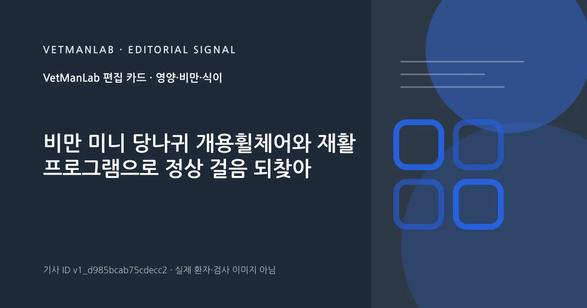 VetManLab 편집용 정보 카드: 비만 미니 당나귀 개용휠체어와 재활 프로그램으로 정상 걸음 되찾아. 실제 환자나 검사 사진이 아닌 기사 주제 안내 그래픽입니다.