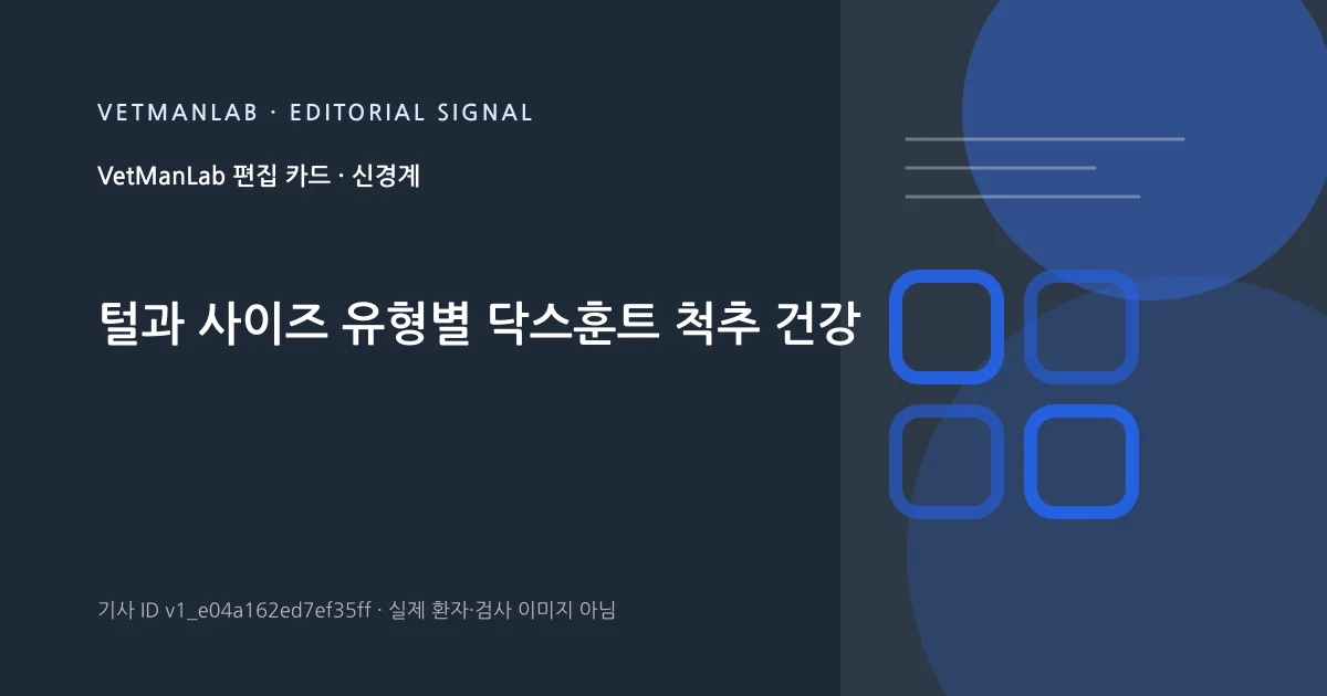 VetManLab 편집용 정보 카드: 털과 사이즈 유형별 닥스훈트 척추 건강. 실제 환자나 검사 사진이 아닌 기사 주제 안내 그래픽입니다.