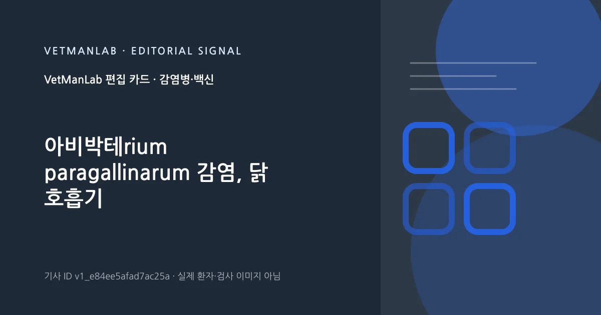 VetManLab 편집용 정보 카드: 아비박테rium paragallinarum 감염, 닭 호흡기 미생물총 일시적 변화 유발. 실제 환자나 검사 사진이 아닌 기사 주제 안내 그래픽입니다.
