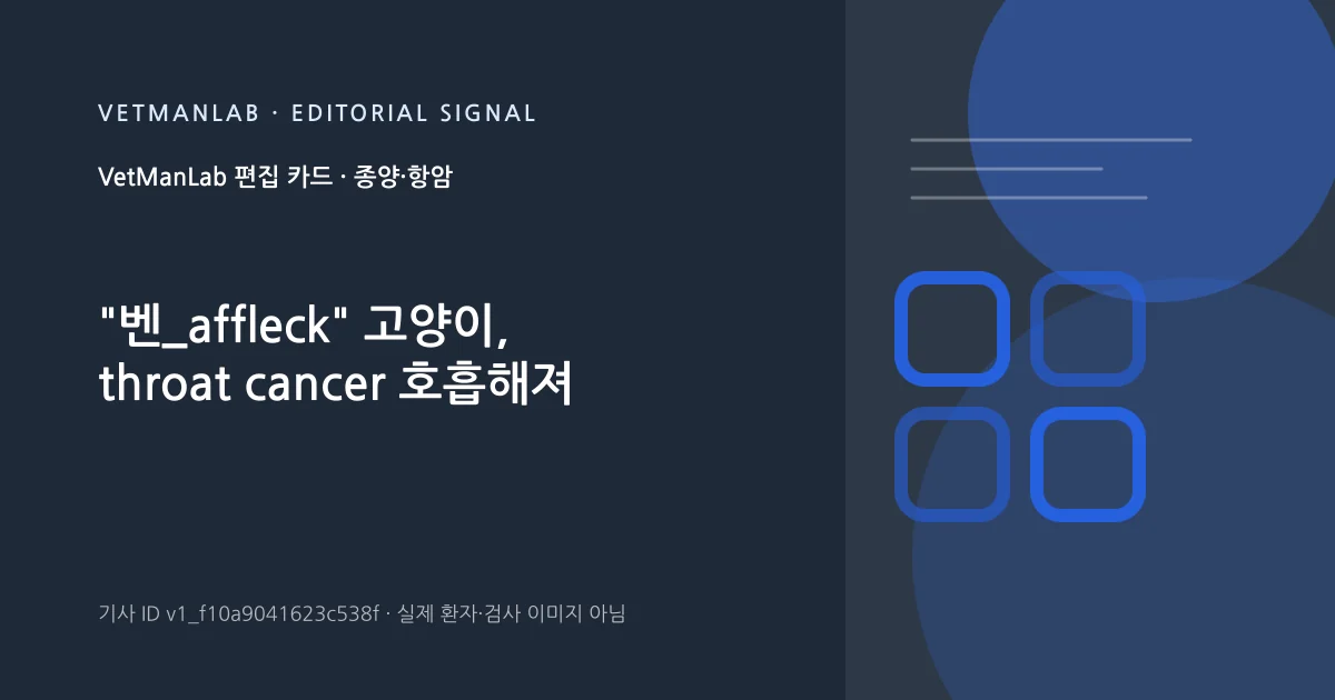 VetManLab 편집용 정보 카드: "벤_affleck" 고양이, throat cancer 호흡해져. 실제 환자나 검사 사진이 아닌 기사 주제 안내 그래픽입니다.