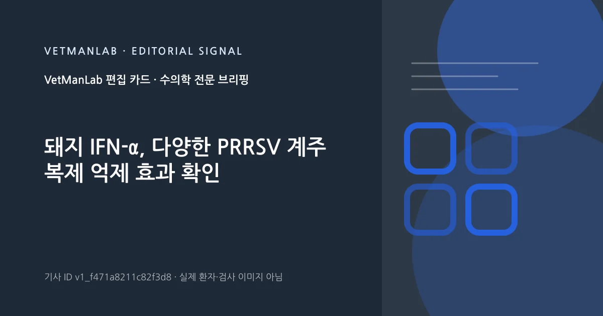 VetManLab 편집용 정보 카드: 돼지 IFN-α, 다양한 PRRSV 계주 복제 억제 효과 확인. 실제 환자나 검사 사진이 아닌 기사 주제 안내 그래픽입니다.